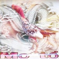 GÀ ĐÒN 8