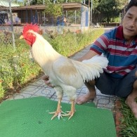 ĐẤU TRƯỜNG THOMO 18