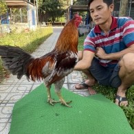 ĐẤU TRƯỜNG THOMO 6