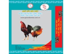 Ngũ Cốc Đặc Biệt - Dành cho Gà Mỹ, Phil, Asil, Peru, Gà Lông, Gà Lai - 1.5KG