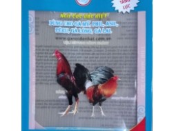 NGŨ CỐC ĐẶC BIỆC CÁC LOẠI