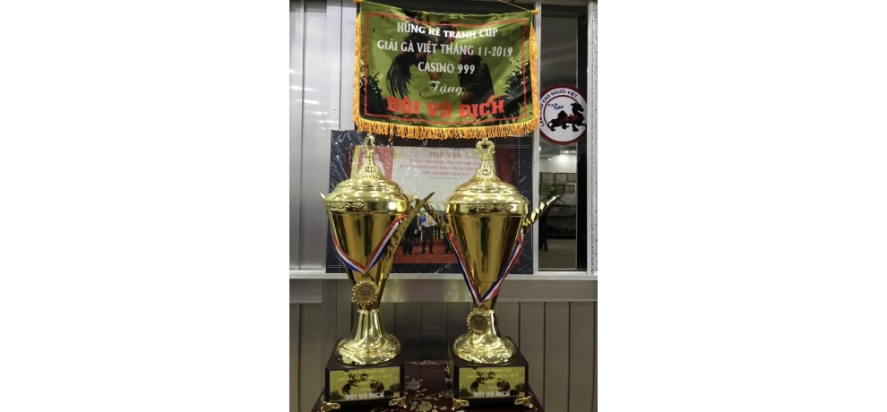 CÚP VÔ ĐỊCH 2019