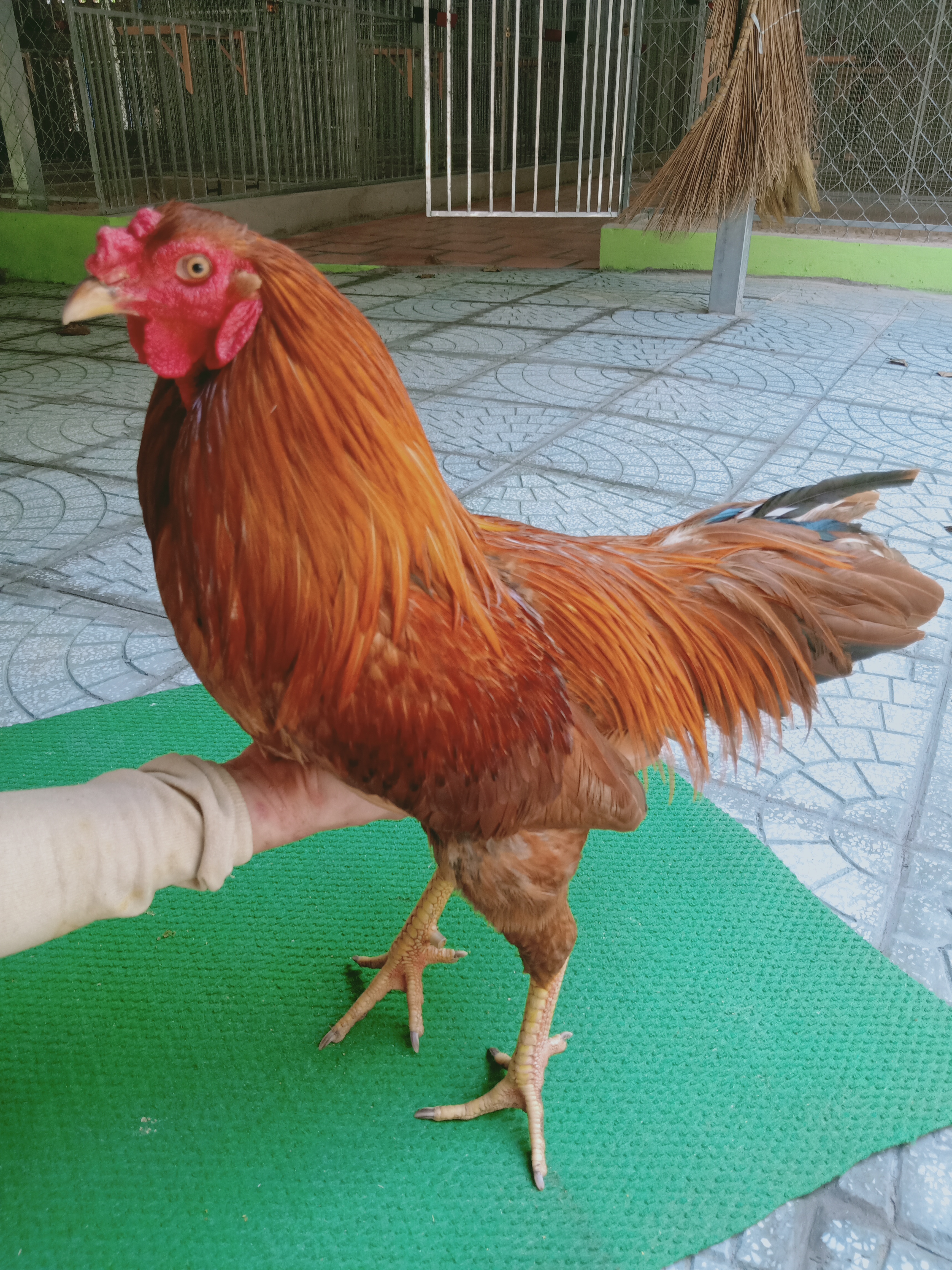 KHÉT